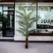 7-Foot Artificial Palm Tree Plant - Lifelike Indoor/Outdoor Fake Tropical Palm for Home Decor & Office Ambiance, Floral Home by Artificial Flowers